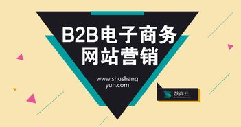 B2B電子商務(wù)網(wǎng)站營(yíng)銷質(zhì)量提升策略 從流量到轉(zhuǎn)化的系統(tǒng)化經(jīng)營(yíng)
